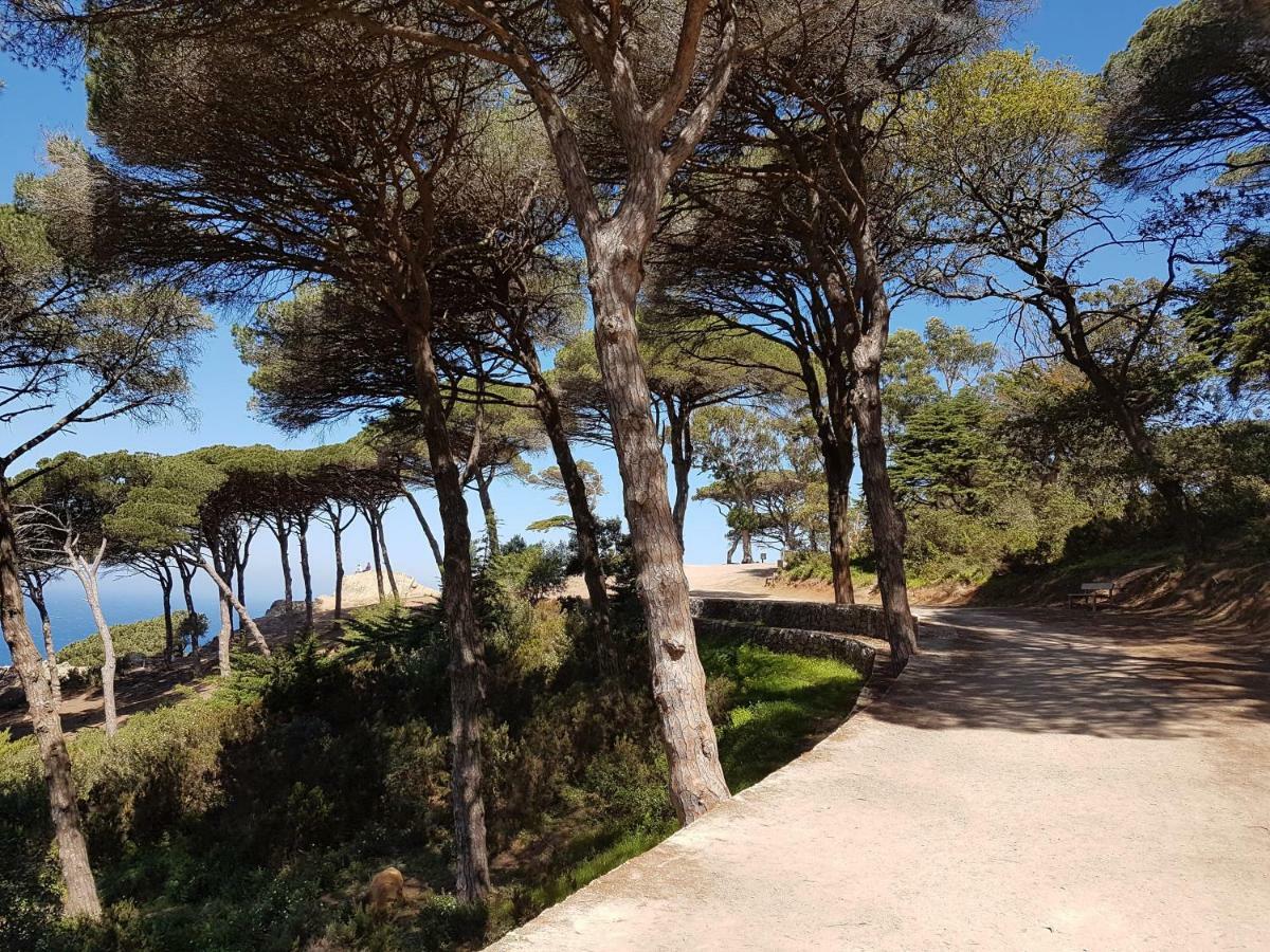 Tanger Cap Spartel - Duplex 110M2 Face Aux Plages Exterior photo